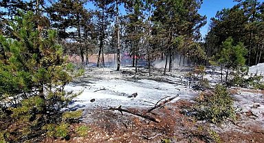 Osmaneli'de çıkan orman yangını büyümeden söndürüldü