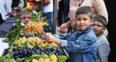 Osmangazi'nin en güzel üzümleri seçildi
