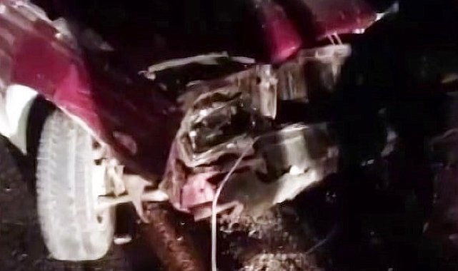 Otomobil koyun sürüsüne daldı: Sürücü yaralandı, 11 koyun telef oldu