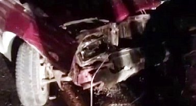 Otomobil koyun sürüsüne daldı: Sürücü yaralandı, 11 koyun telef oldu