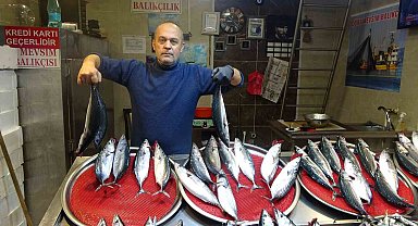 Palamutun avı azalıp avlanan palamutlar da irileştikçe fiyatı da arttı