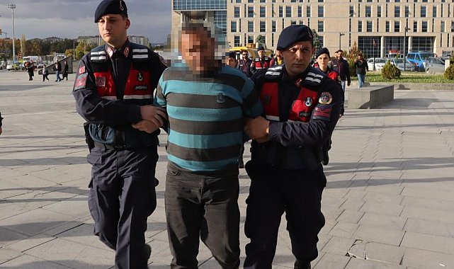 Para için komşusunun başını ezen sanığın yargılanmasına devam edildi