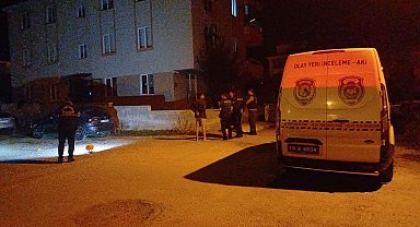 Park halindeki aracı kurşunladılar
