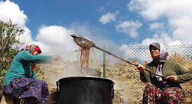 Pekmez kazanları kaynamaya başladı