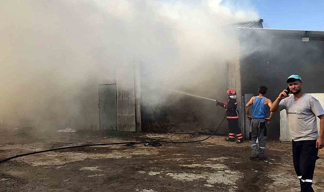 Sakarya'da 2 ahır ve 2 samanlık alevlere teslim oldu: 1 yaralı