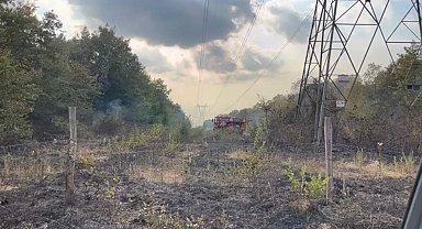 Sakarya'da boş arazide yangın
