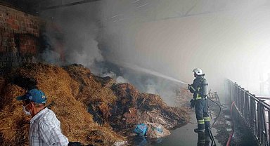 Samanlıkta çıkan yangında 250 balya saman kül oldu