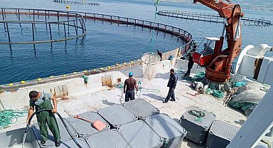 Samsun, 'Türk somonu' üretiminde dünya markası haline geldi