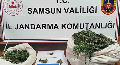 Samsun'da Jandarma 10 kilo kubar esrar ele geçirdi