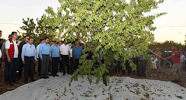 Şanlıurfa'da badem hasadı çiftçiyi memnun etti
