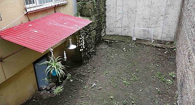 Şehir merkezindeki evinin bahçesine sansar dadandı, 11 kediyi telef etti