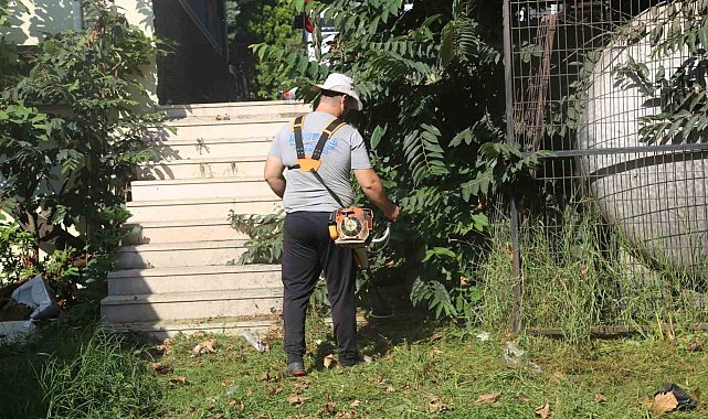 Serdivan'da yeşil alanlar daha bakımlı hale geliyor