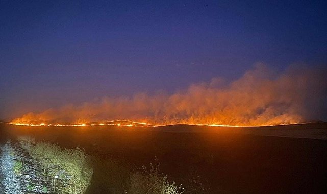 Siirt'te çıkan anız yangını yerleşim yerine sıçramadan söndürüldü