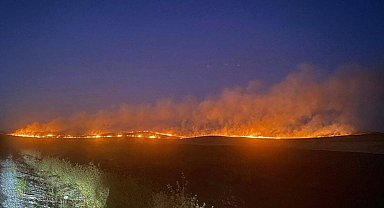 Siirt'te çıkan anız yangını yerleşim yerine sıçramadan söndürüldü
