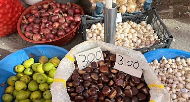 Sinop kestanesi tezgahlarda: Kilosu 300 lira