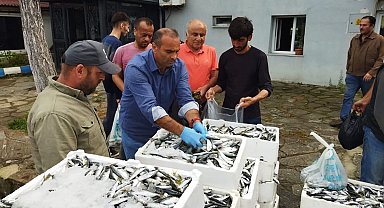 Sinop'ta yasa dışı avlanan 70 kasa balığa el konuldu