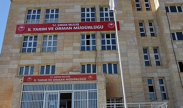 Şırnak'ta boş arı kovan desteği başvuruları başladı