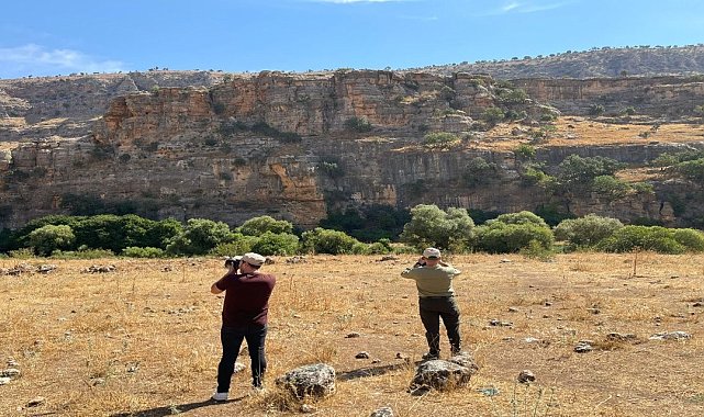 Şırnak'ta kaçak avcılığa karşı ekipler denetimlere devam ediyor