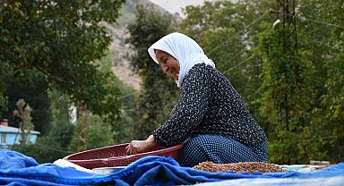 Şırnaklı aile sumak satarak geçimini sağlıyor