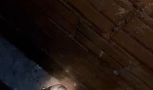 Sivas'ta güvercinler yolunu şaşırdı, bacada mahsur kalan güvercinleri itfaiye kurtardı
