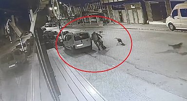 Sokak köpeklerinin saldırı anı kamerada