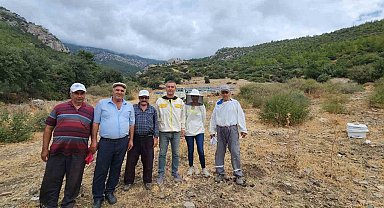 Söke'de arıcılık desteklemeleri için kovan tespit çalışmaları devam ediyor