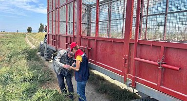 Söke'de pamuk hasat makineleri denetlendi