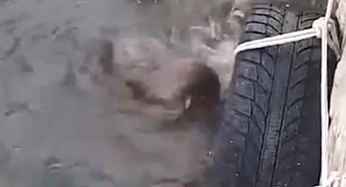 Su samurlarının kavgası kamerada