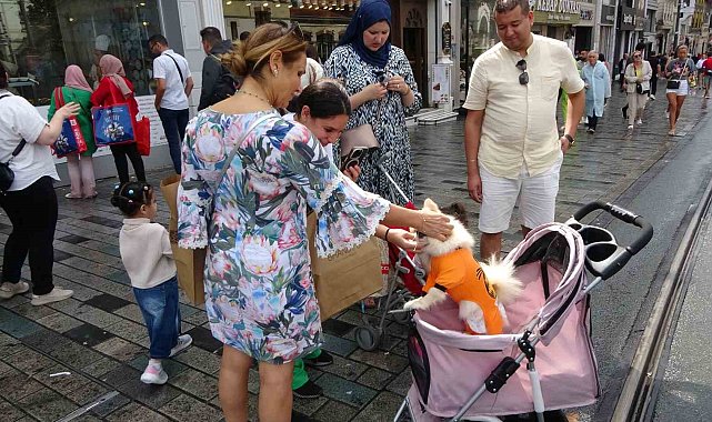 Taksim Meydanı'nda bebek arabasında gezdirilen köpek ilgi odağı oldu