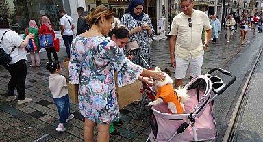 Taksim Meydanı'nda bebek arabasında gezdirilen köpek ilgi odağı oldu