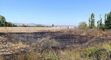 Tavşanlı'da arazide çıkan yangın kısa sürede söndürüldü