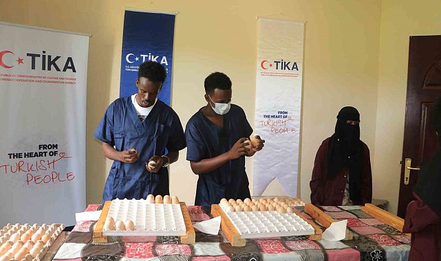 TİKA, Somali'de 'Damızlık Etlik Piliç Üretimi Projesi'ni hayata geçirdi