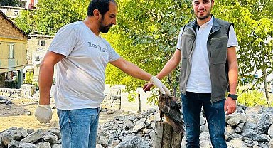 Uludere'de yaralı bulunan kaya kartalı tedavi altına alındı