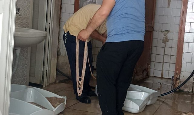Umumi tuvalette bağırsak temizliği cezasız kalmadı