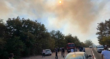 Üniversite kampüsünde orman yangını