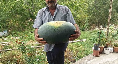 Üretici 25 kiloluk karpuzu güçlükle taşı