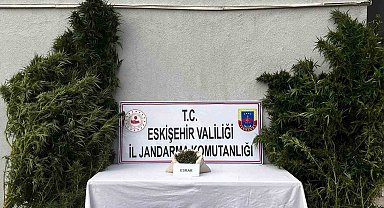 Uyuşturucu imal edip ticaretini yaptığı belirlenen şüpheli yakalandı