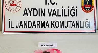 Uyuşturucu kullanan 7 kişi yakalandı