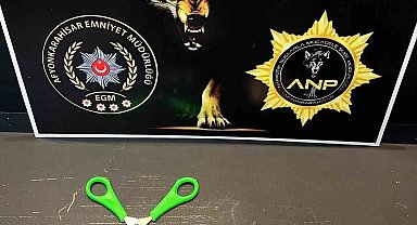 Uyuşturucu maddeler ile yakalanan 1 kişi tutuklandı