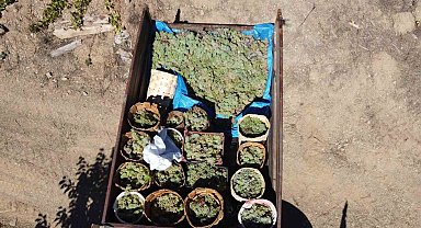 Üzümü meşe külüyle harmanlayıp, 2 gün boyunca kazanlarda kaynatıp pekmez yapıyorlar