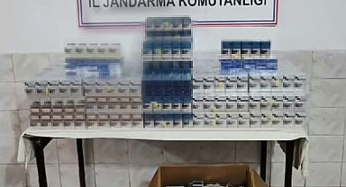 Van'da gümrük kaçakçılığı operasyonu