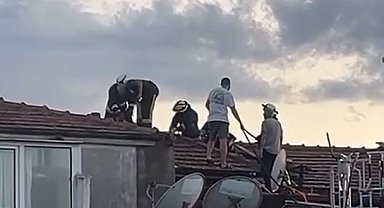 Yalova'da çatı yangını