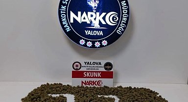 Yalova'da uyuşturucu operasyonunda 2 tutuklama