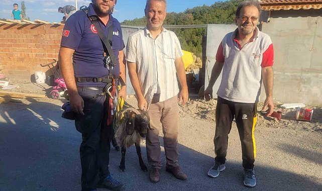 Yamaca sıkışan keçi AFAD ekiplerince kurtarıldı