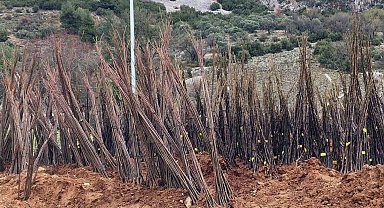 Yangında kovanları yanan arıcılara Büyükşehir'den malzeme desteği