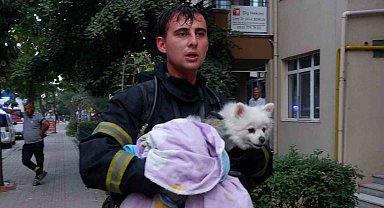 Yangında mahsur kalan köpek kurtarıldı