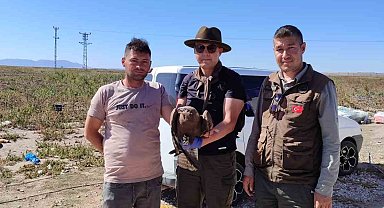 Yaralı kuşlar, tedavi edilerek doğaya bırakılacak