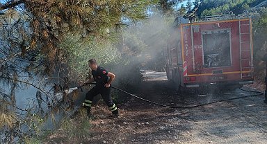 Yayladağı'nda örtü yangını