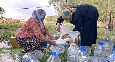 Yüksekova'da kışlık süt mesaisi