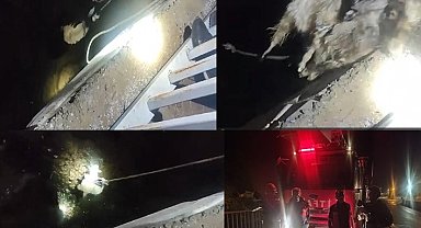 Zap Suyu'nda nefes kesen oğlak kurtarma operasyonu